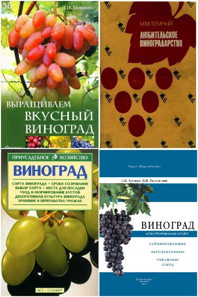 Виноградарство и виноделие - Сборник книг